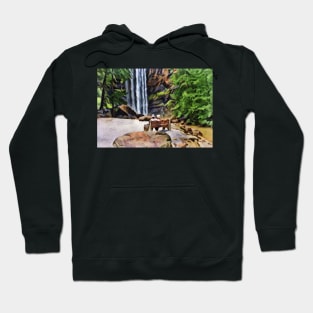 Couple at Toccoa Falls colored pencil style Hoodie